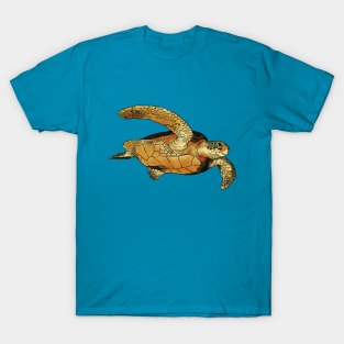 Hawksbill Turtle T-Shirt